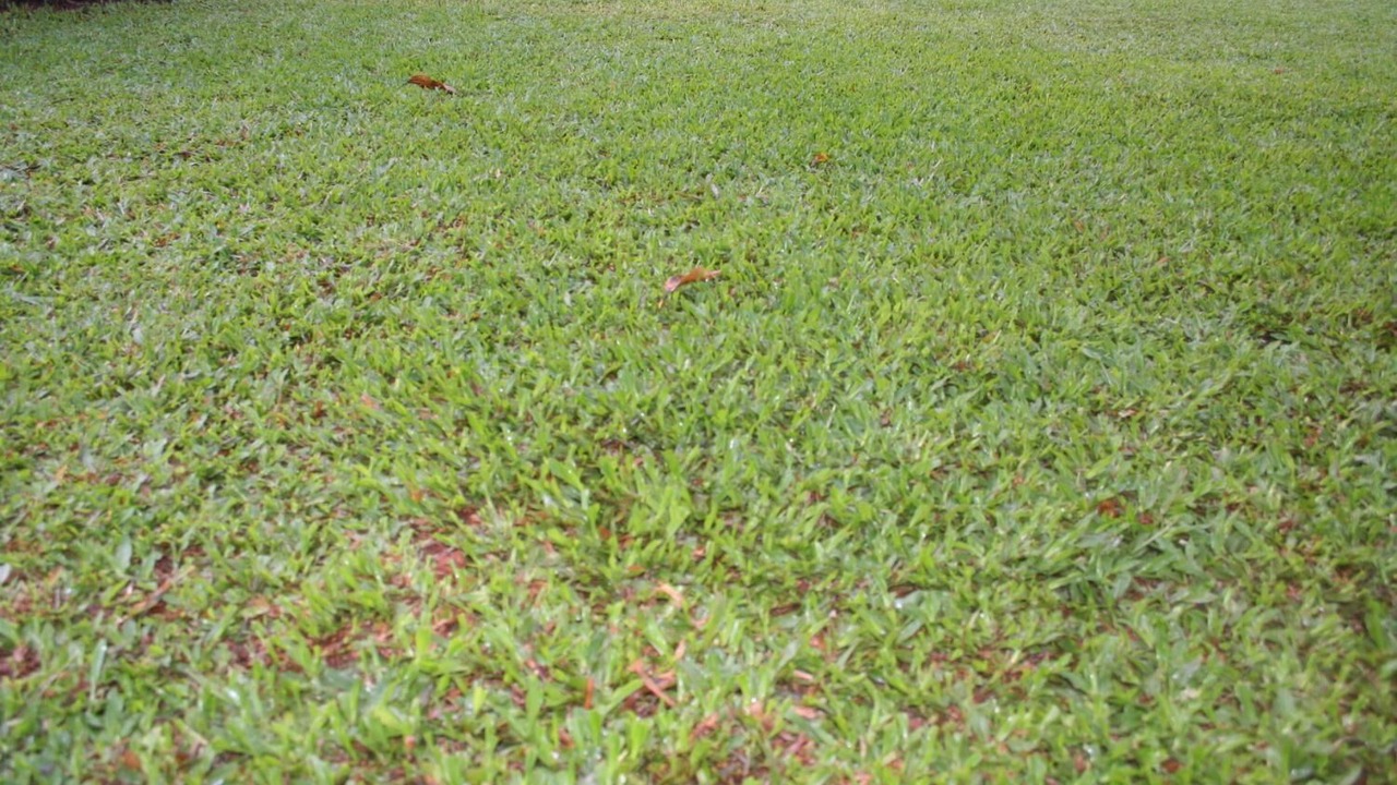 Photo of Outdoor in Rao Colony