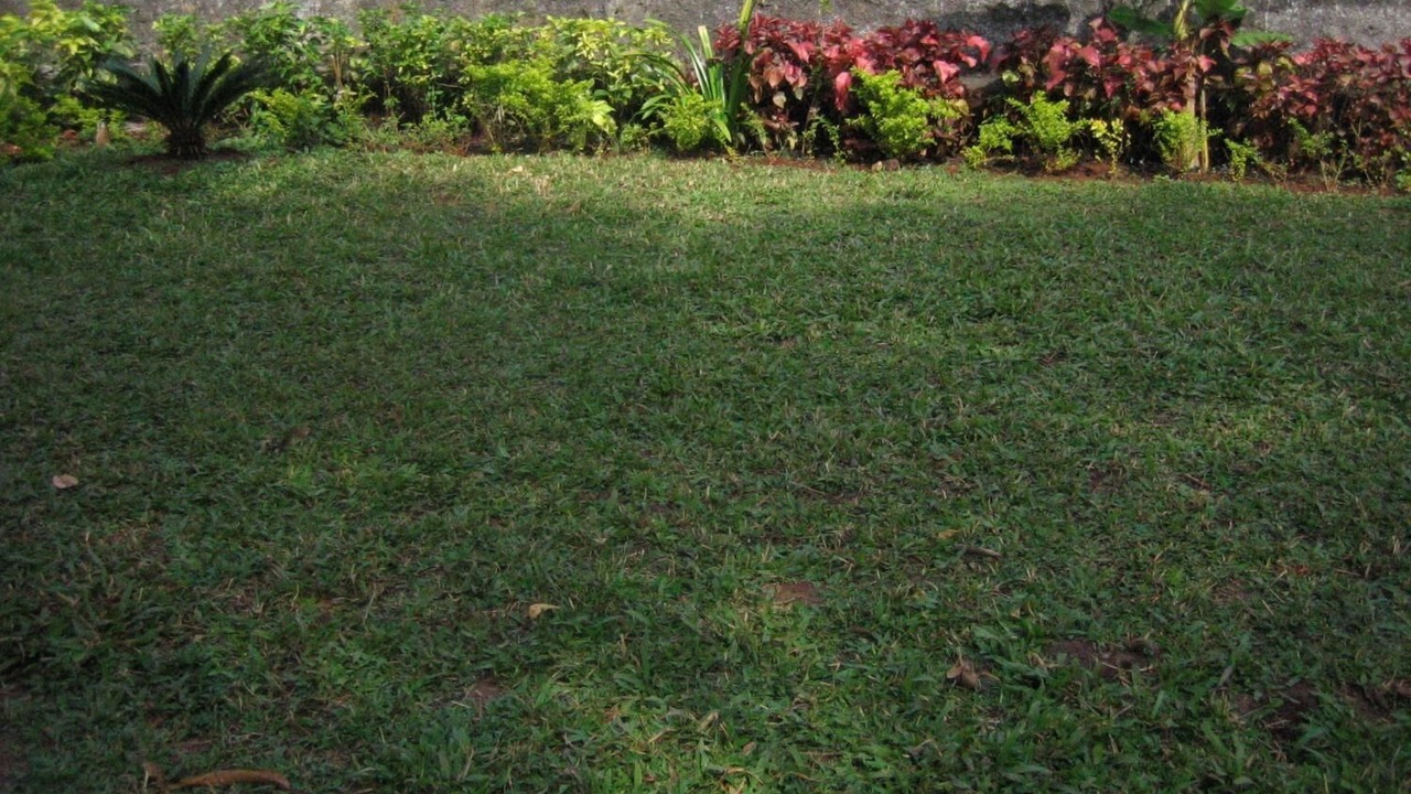 Photo of Outdoor in Rao Colony