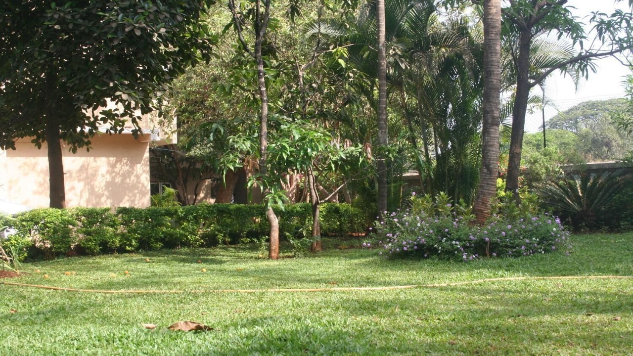 Photo of Outdoor in Rao Colony