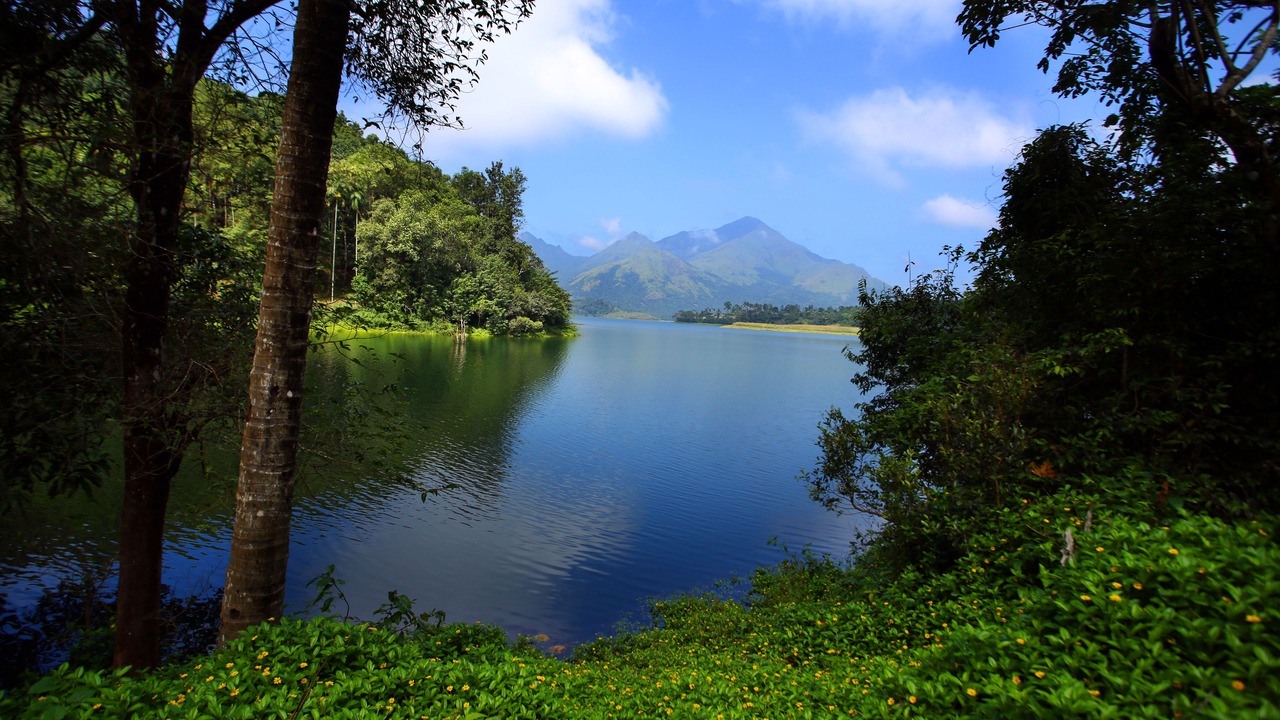 Photo of Outdoor in Thariyode