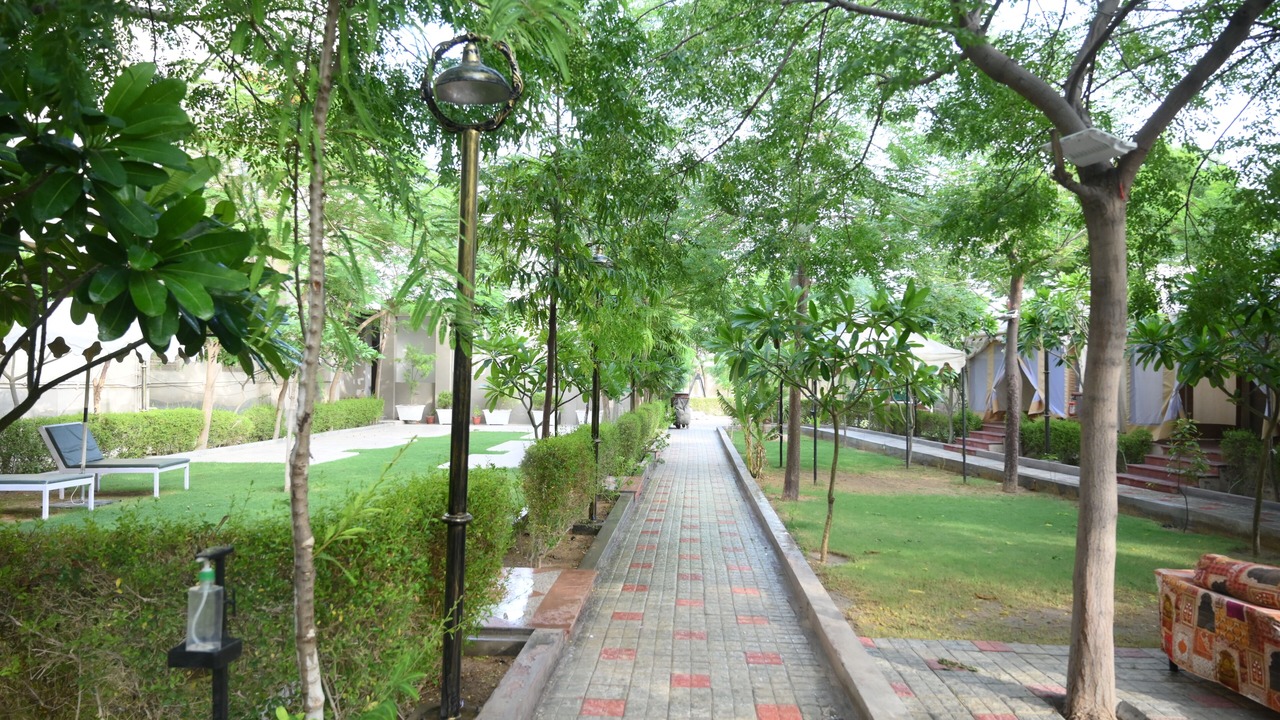 Photo of Outdoor in Bikaner