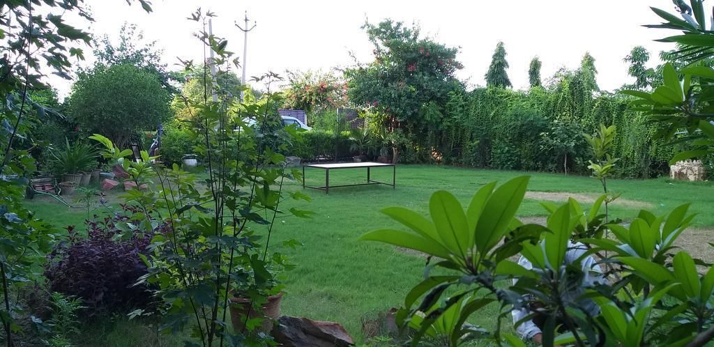 Photo of Outdoor in Bharatpur