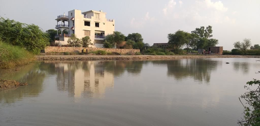 Photo of Outdoor in Bharatpur