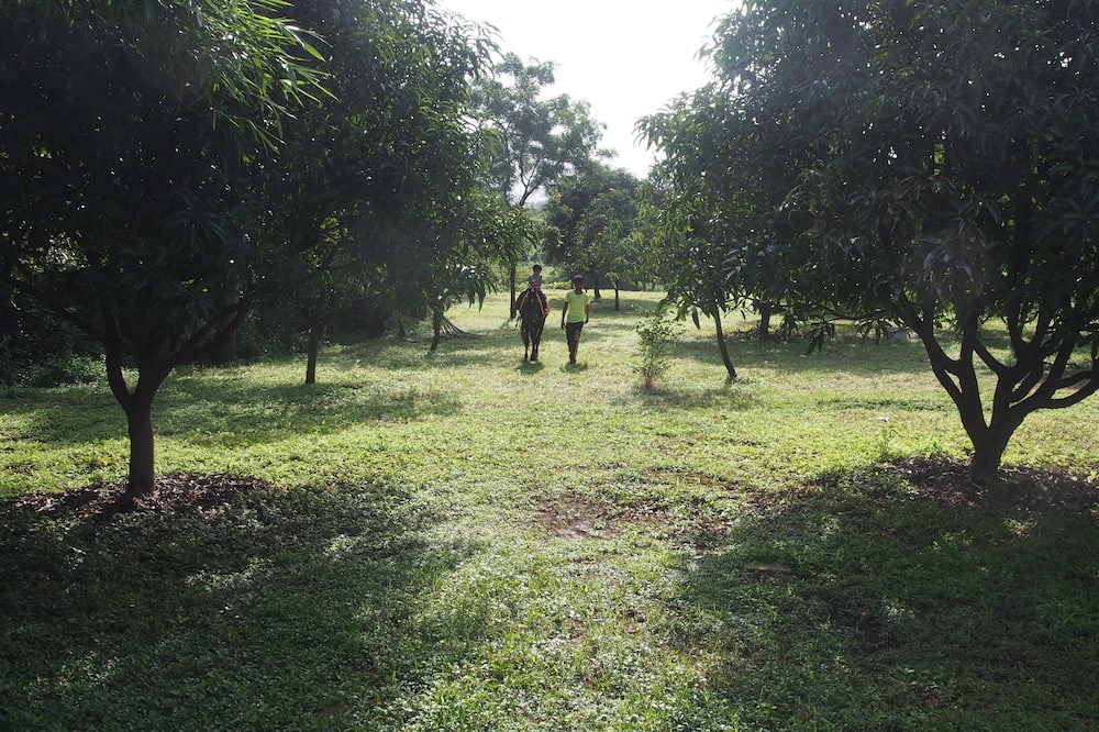 Photo of Outdoor in Khalapur