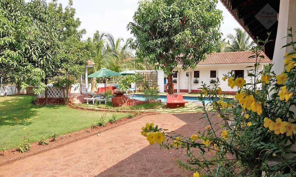 Photo of Outdoor in Assagao