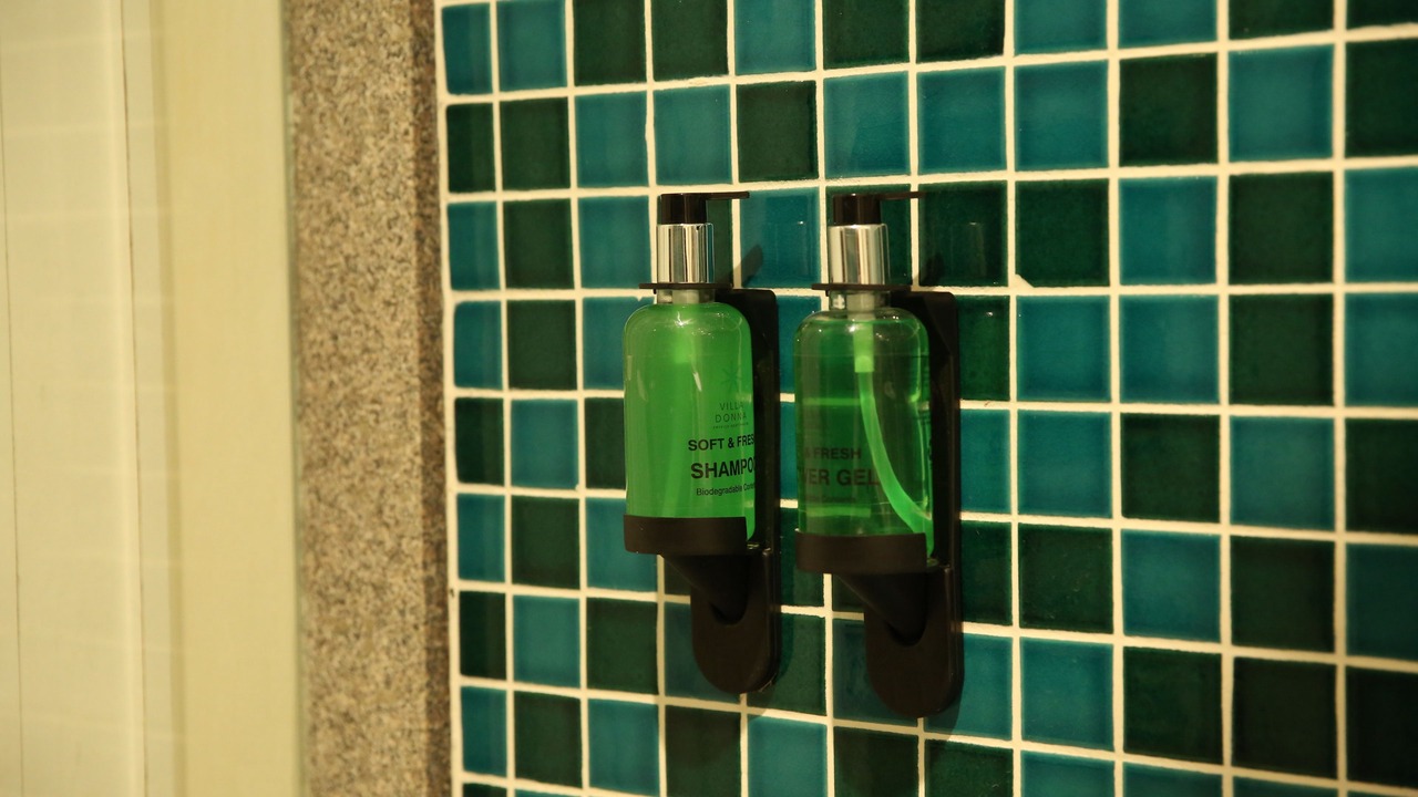 Photo of Bathroom in La Citadel Colony