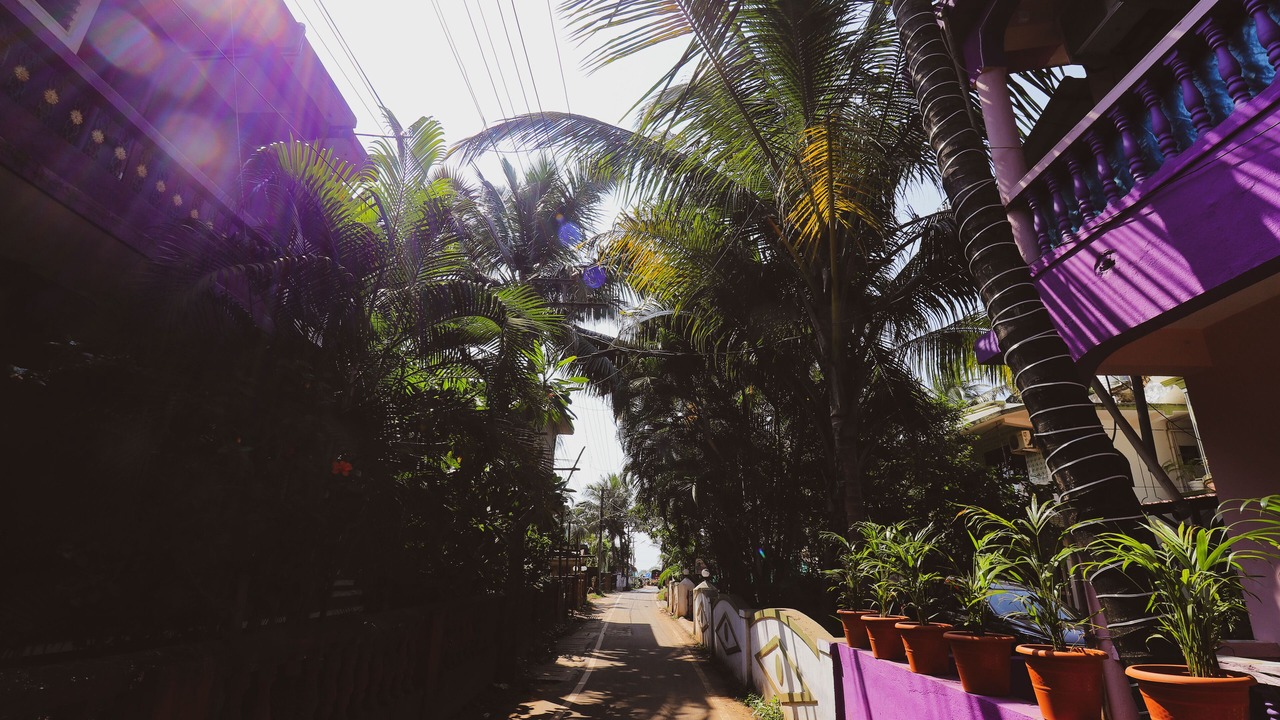 Photo of Outdoor in Calangute