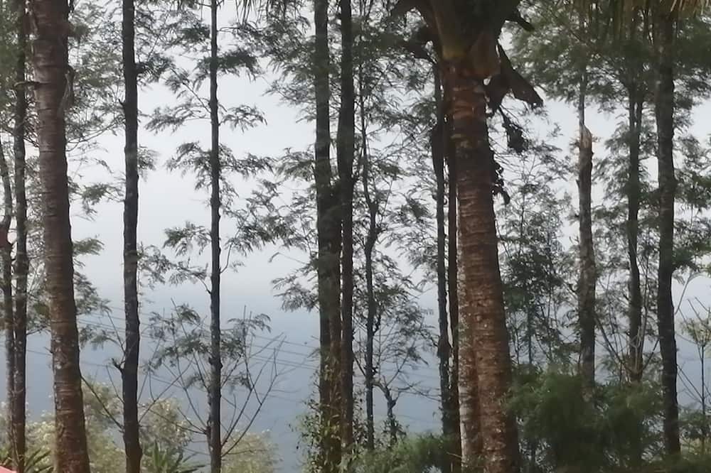 Photo of Patio Balcony in Santhanpara