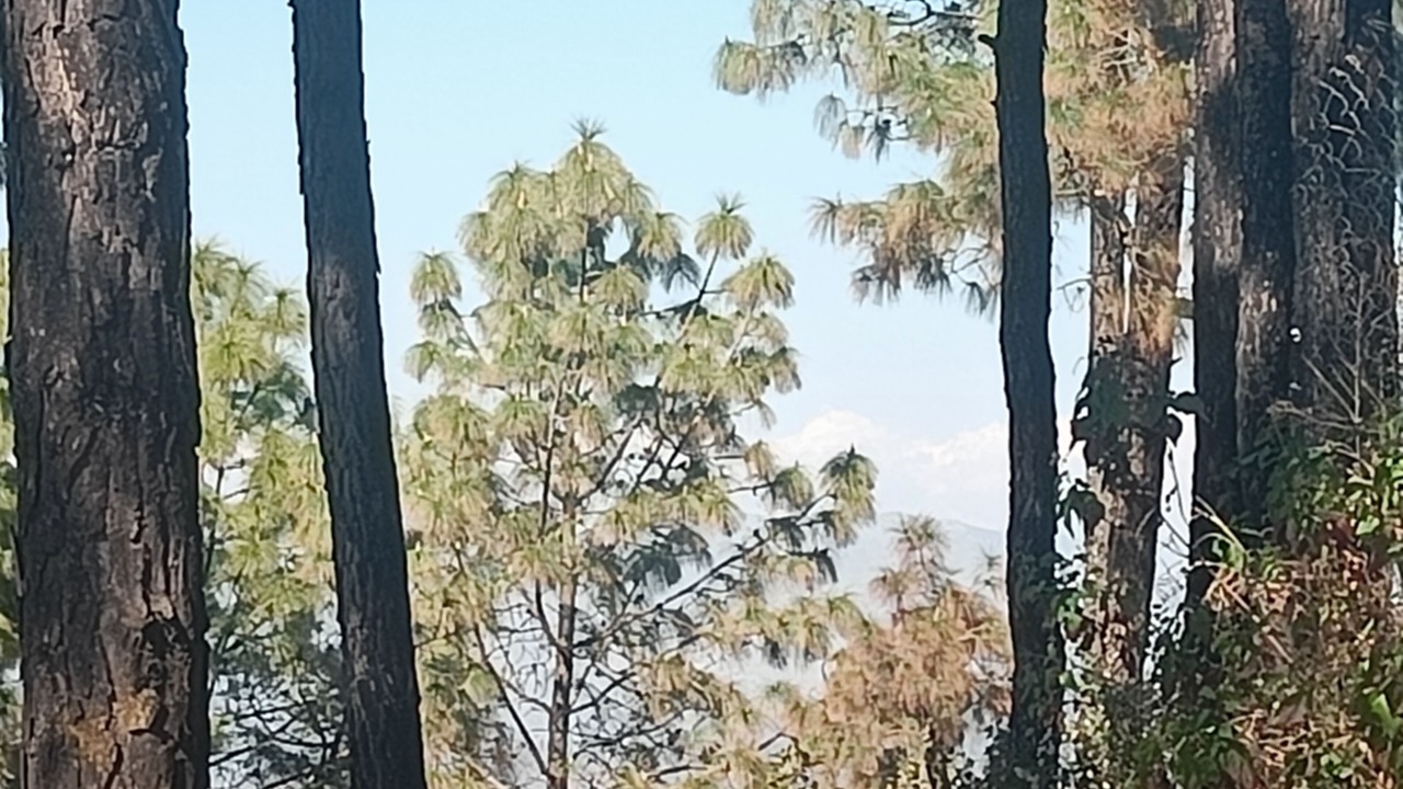Photo of Others in Lansdowne