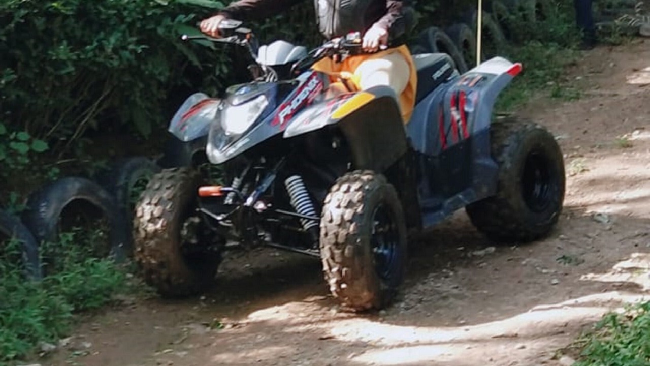 Photo of Others in Palampur