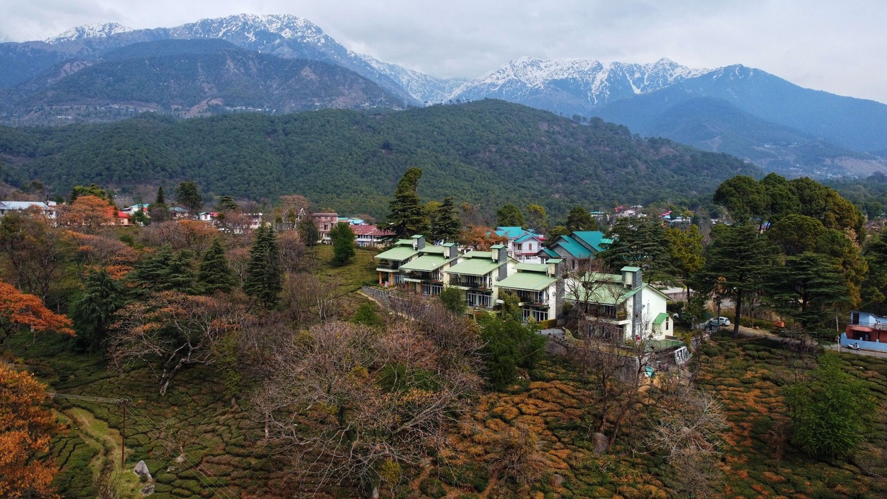 Photo of Others in Palampur