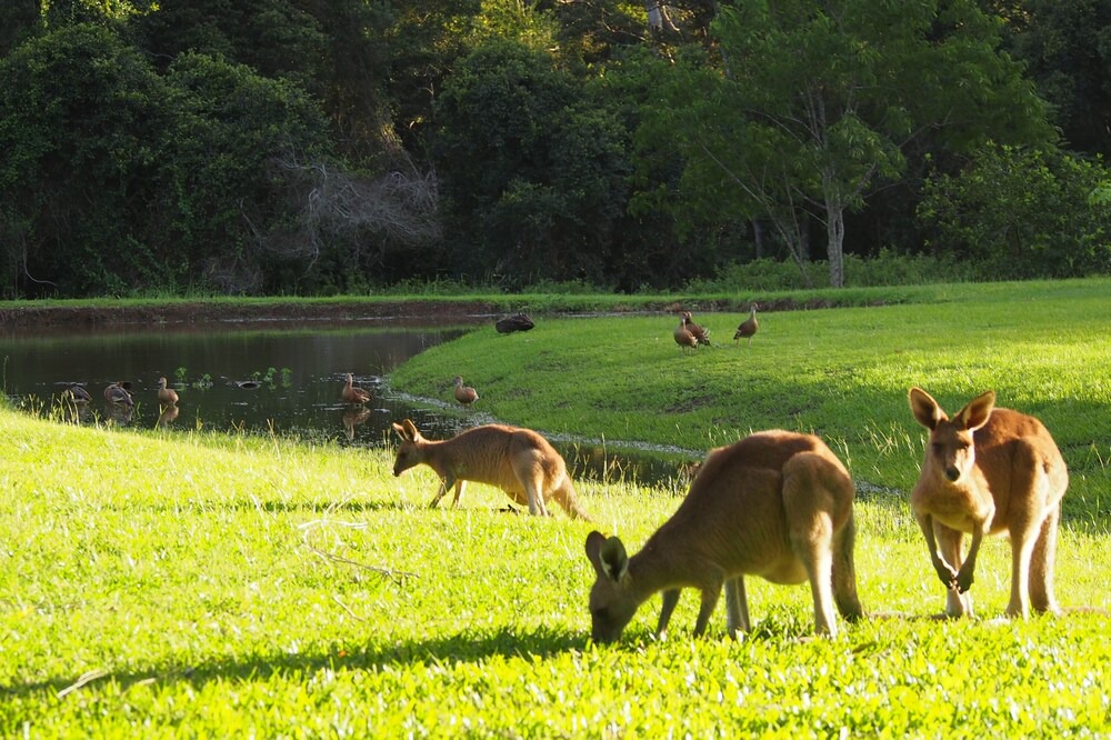 Photo of Outdoor in Bellmere