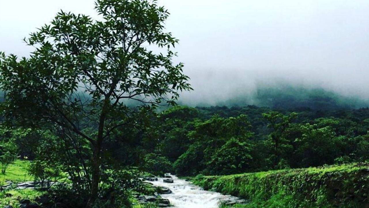 Photo of Outdoor in Uddar