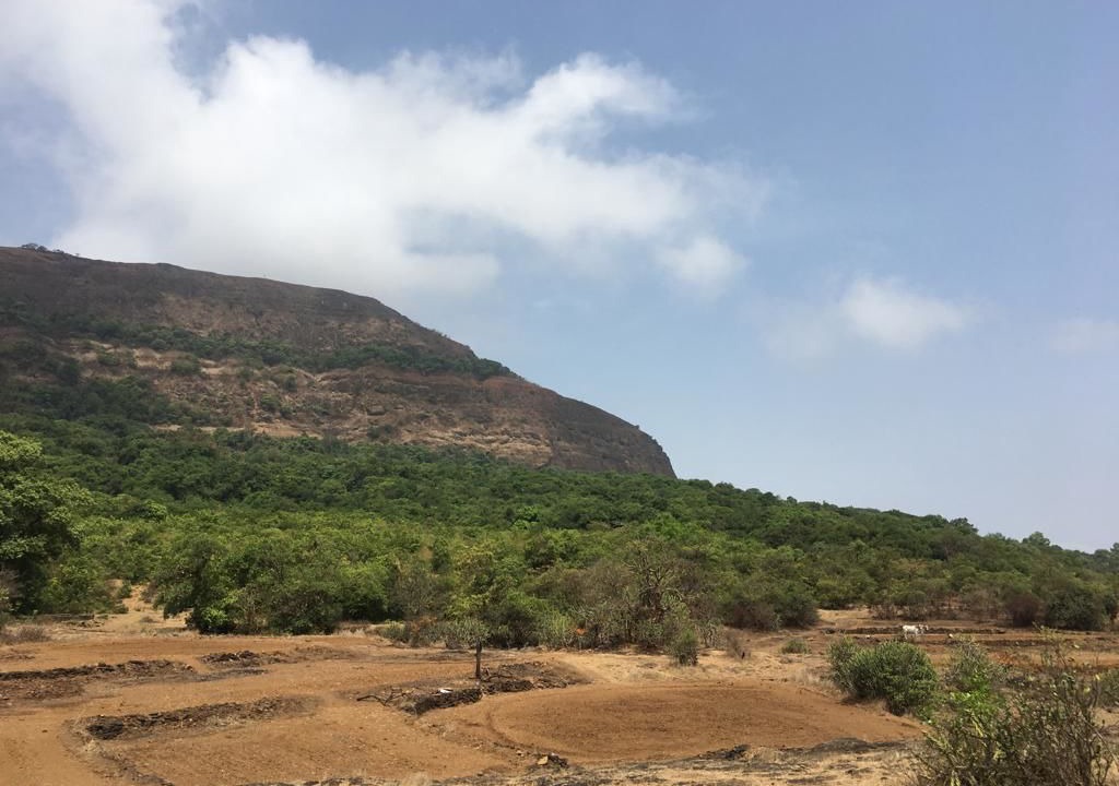 Photo of Outdoor in Uddar