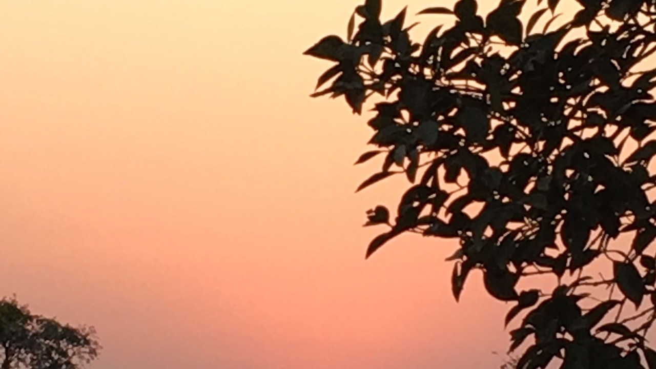 Photo of Outdoor in Uddar