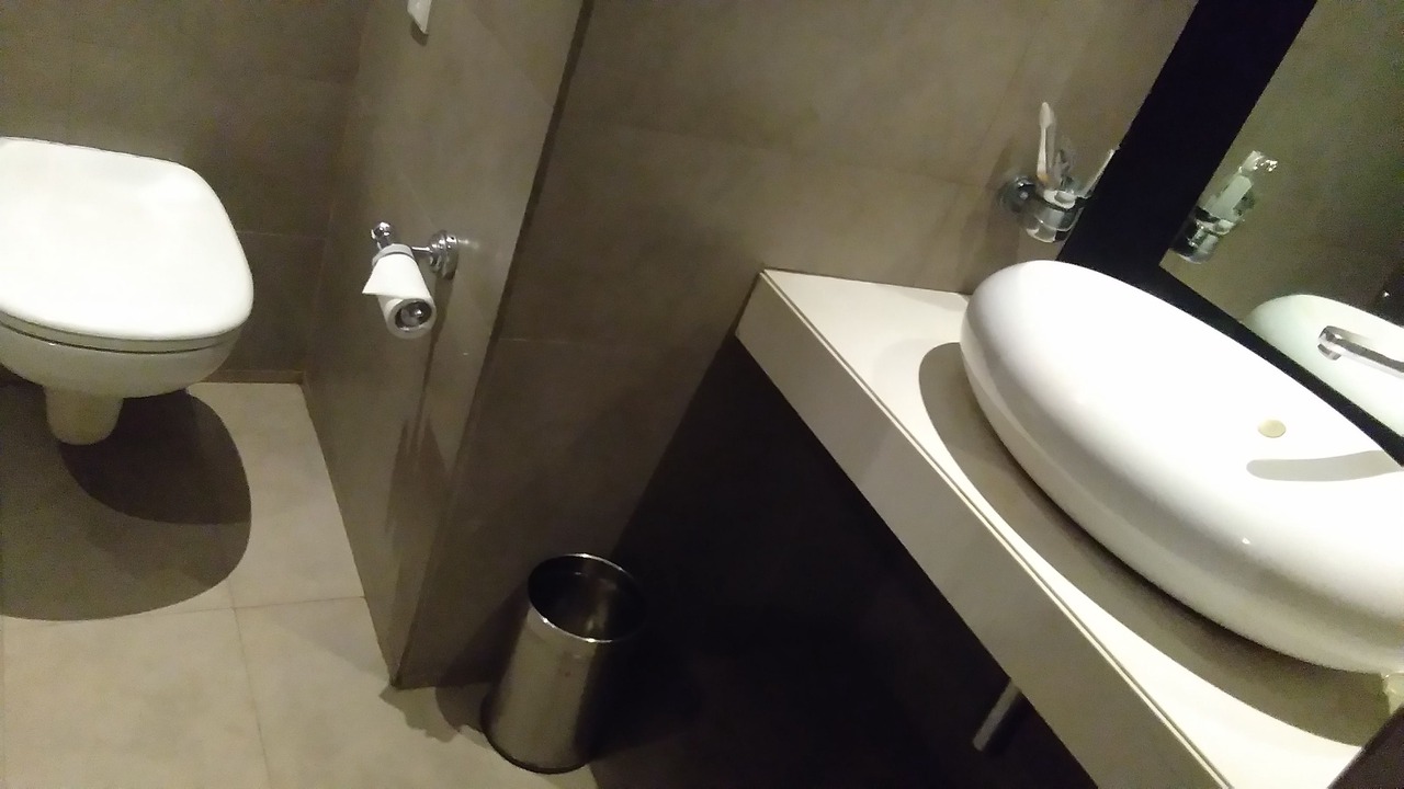 Photo of Bathroom in Lakdi Ka Pul