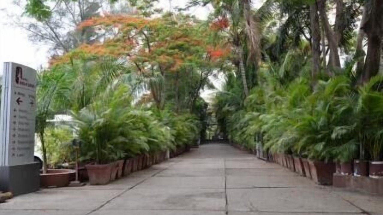 Photo of Outdoor in Kasarwadi