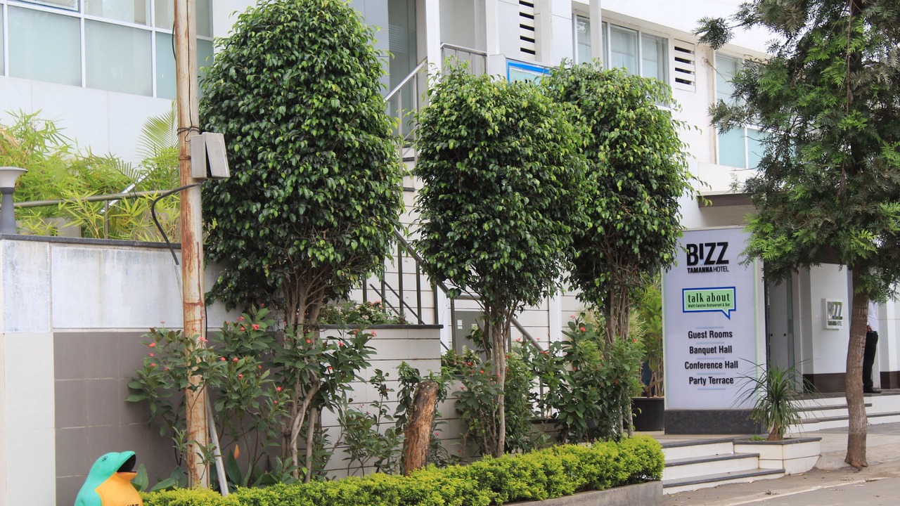 Photo of Outdoor in Phase 1