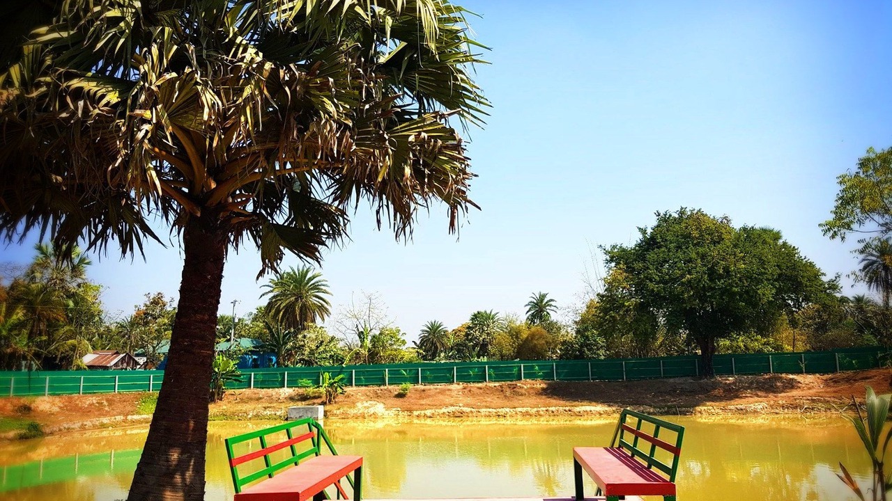 Photo of Outdoor in Pirozali