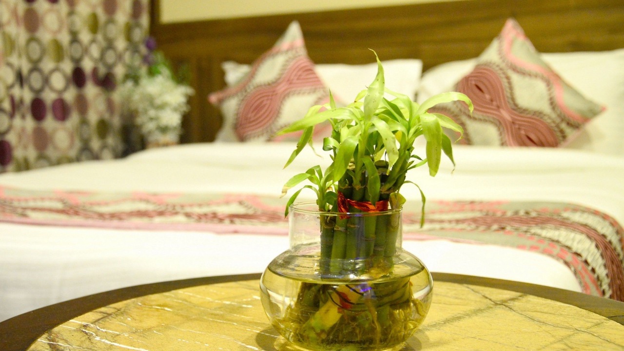 Photo of Bedroom in Vaishali Nagar