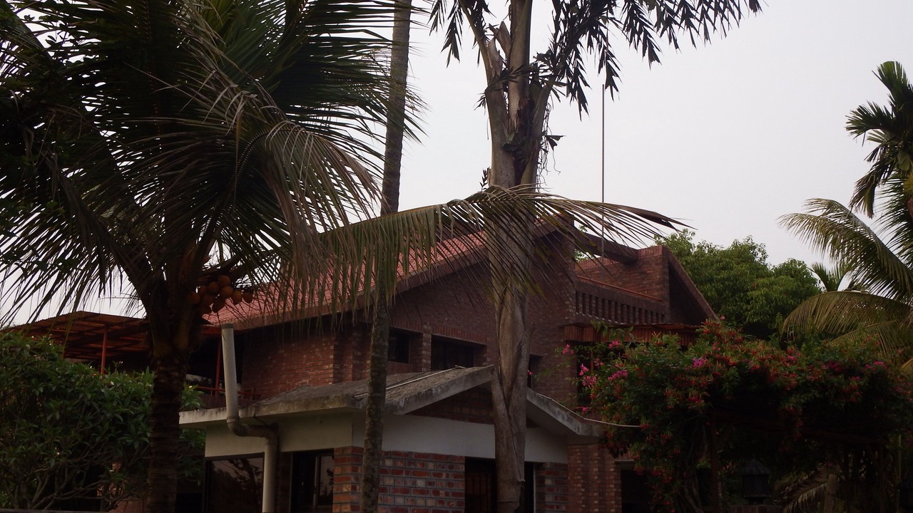 Photo of Patio Balcony in Dhaka