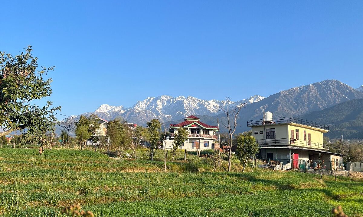 Photo of Others in Palampur