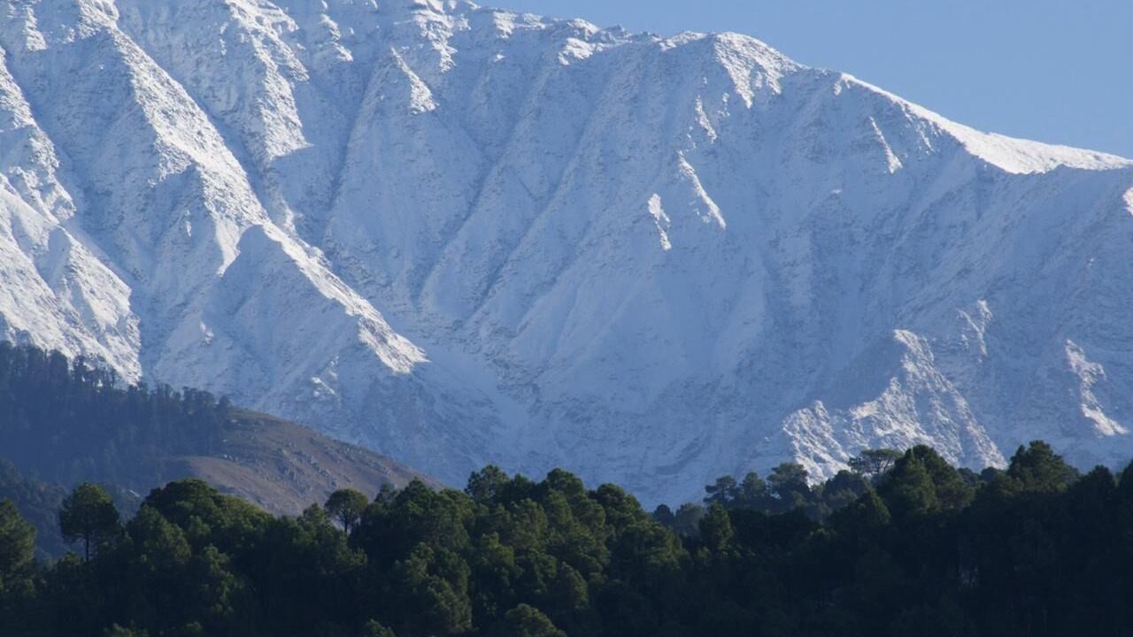 Photo of Others in Palampur