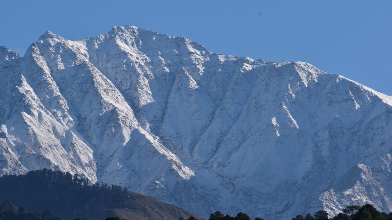Photo of Others in Palampur