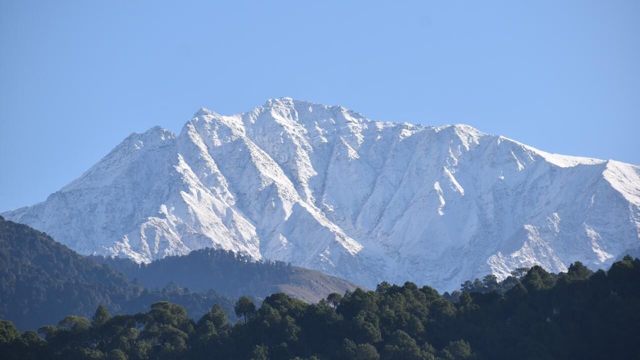 Photo of Others in Palampur