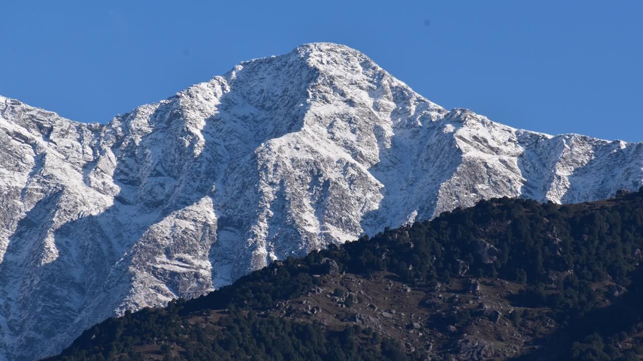 Photo of Others in Palampur