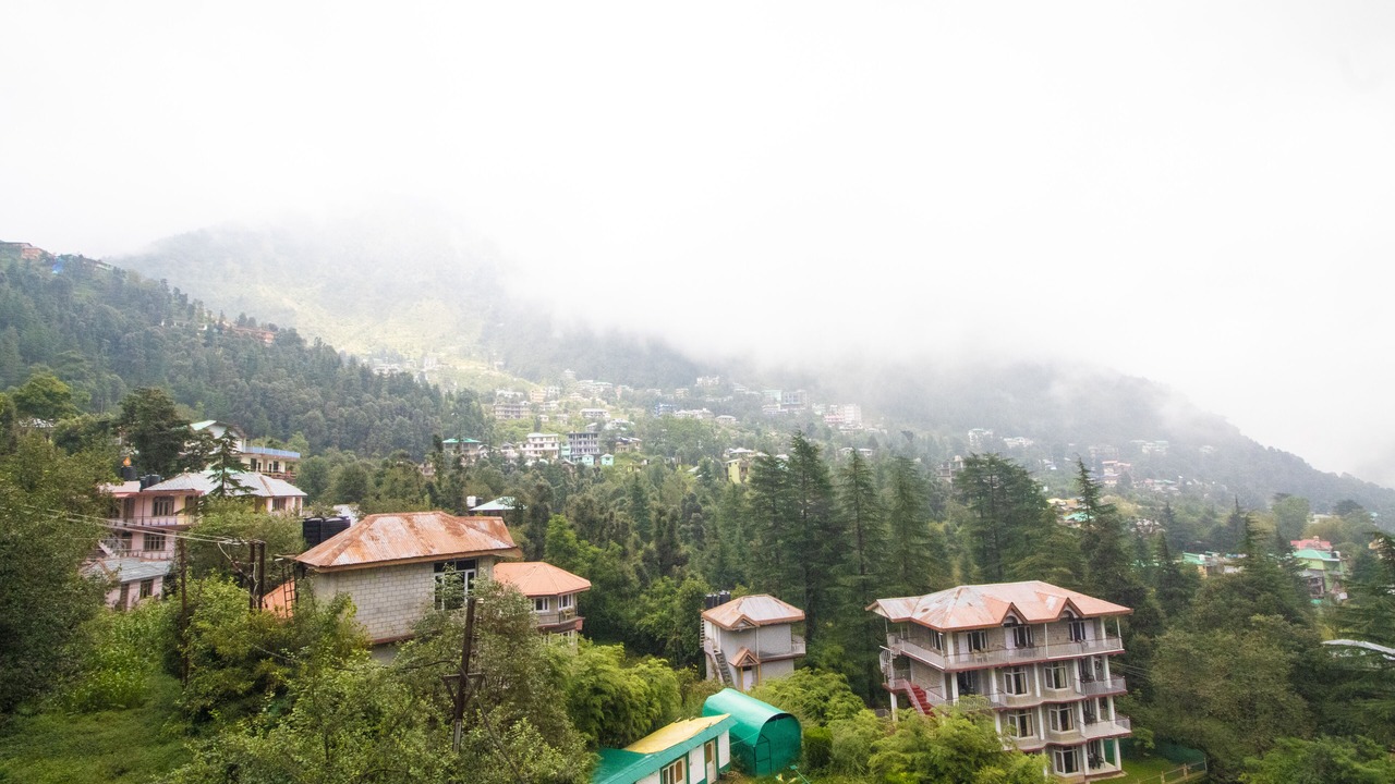 Photo of Outdoor in Dharamkot