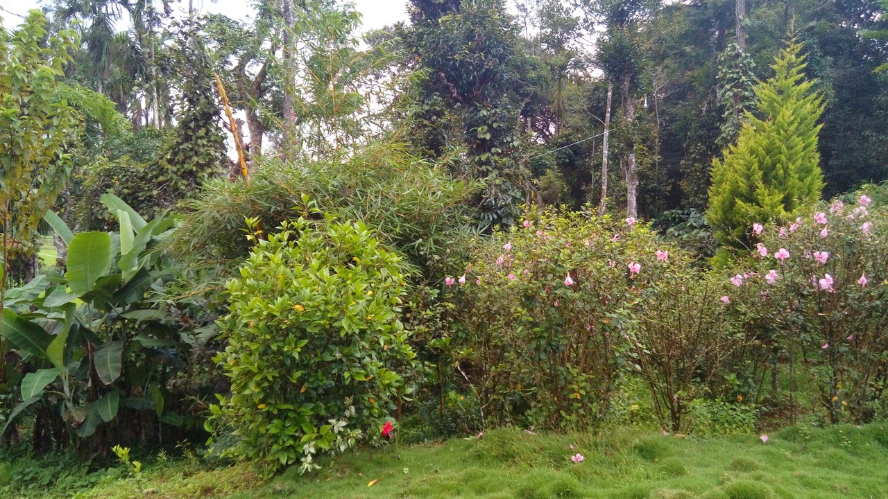 Photo of Outdoor in Virarajendrapet