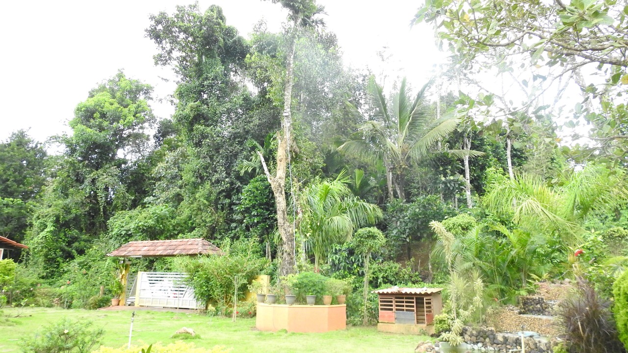 Photo of Outdoor in Virarajendrapet