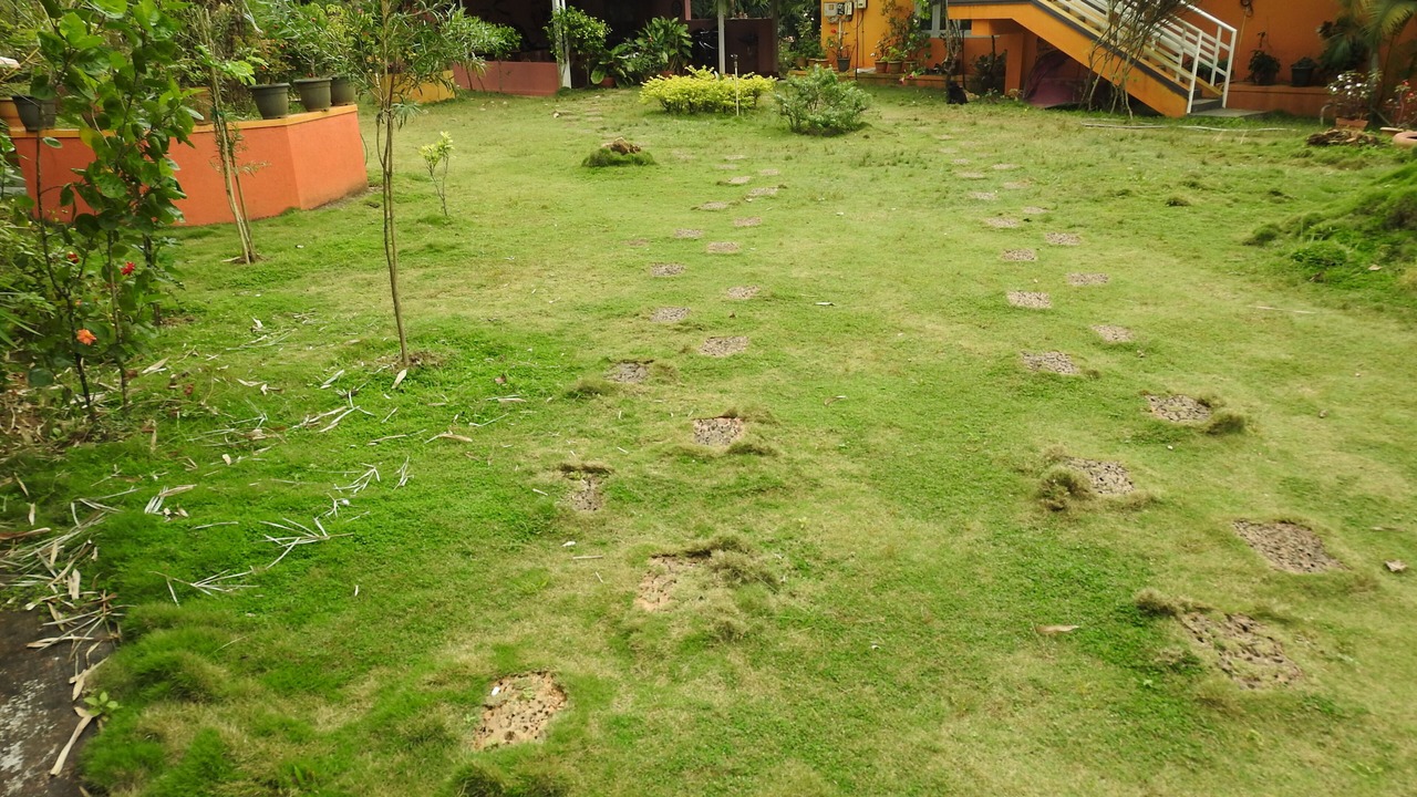 Photo of Outdoor in Virarajendrapet