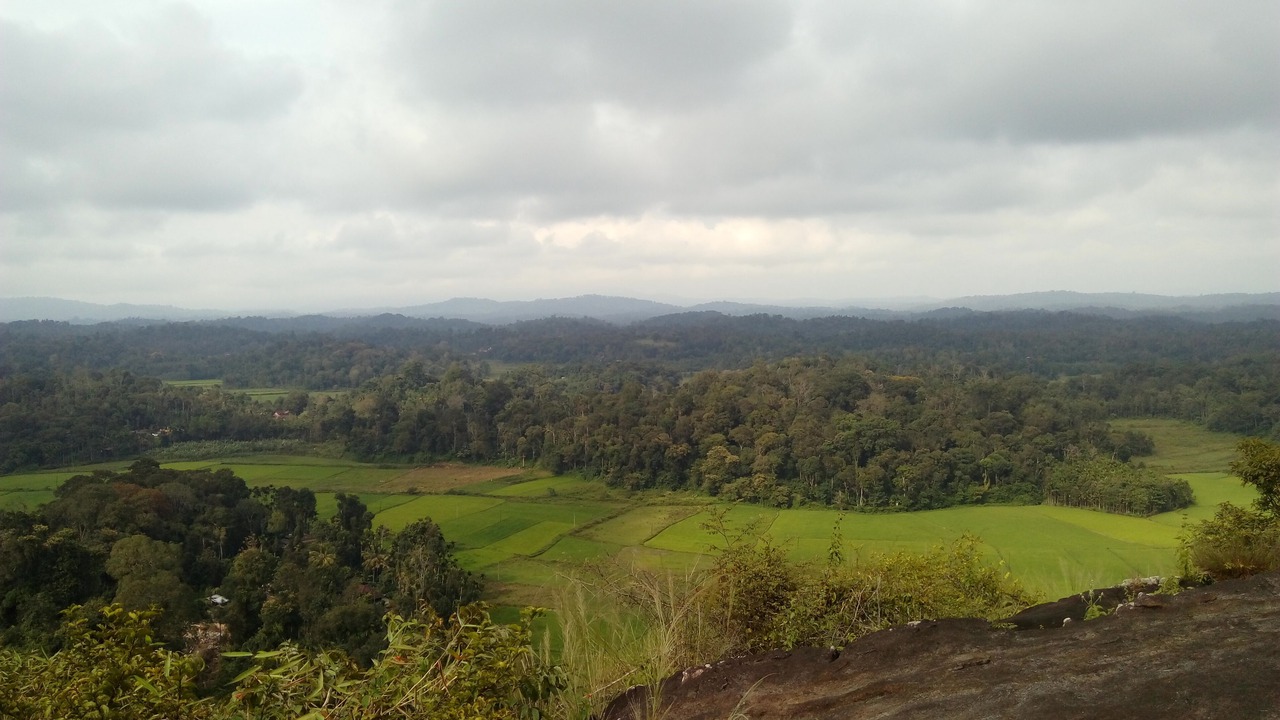 Photo of Outdoor in Virarajendrapet