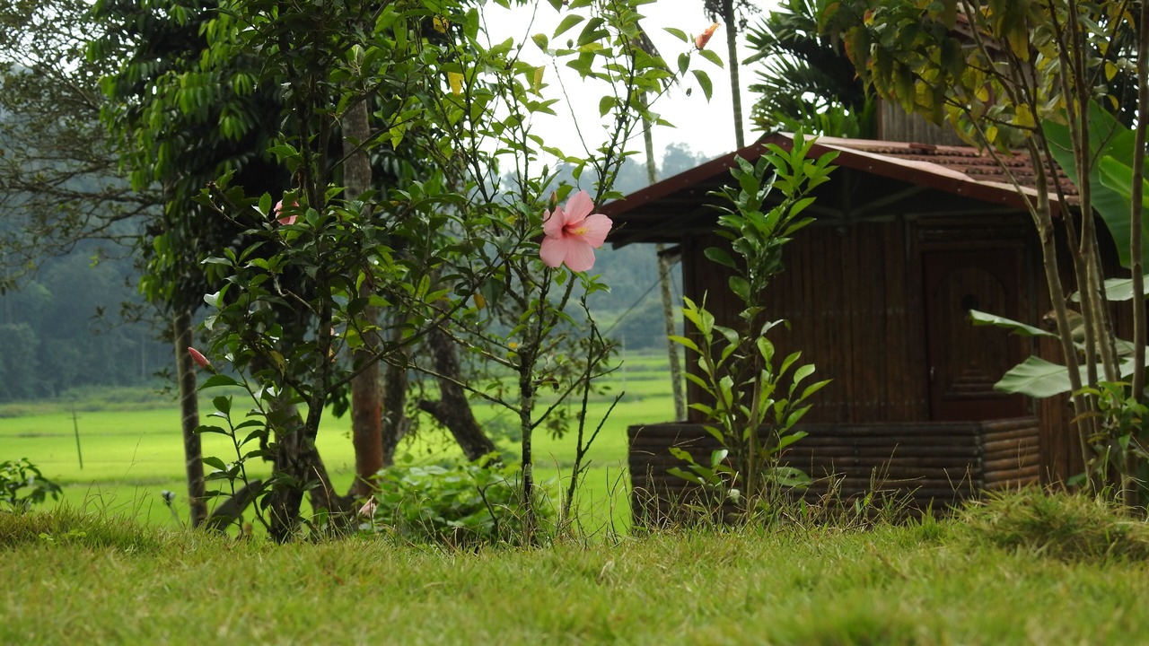 Photo of Outdoor in Virarajendrapet