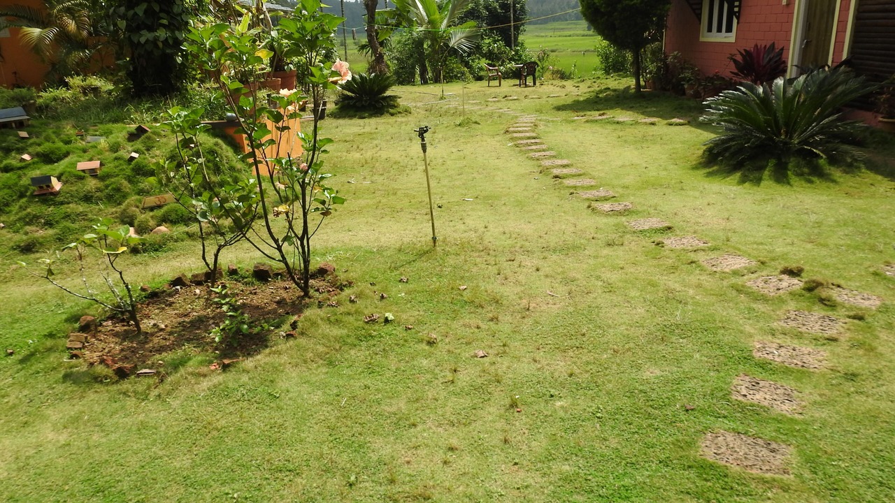 Photo of Outdoor in Virarajendrapet