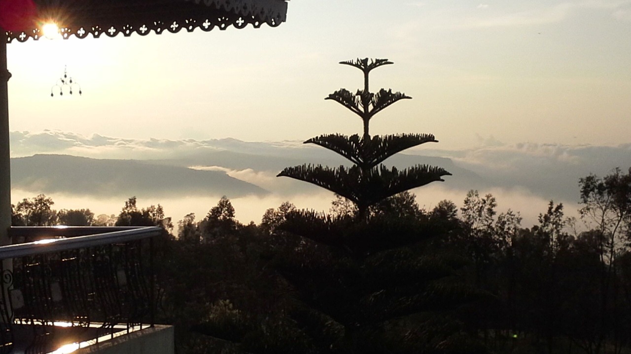 Photo of Others in Panchgani