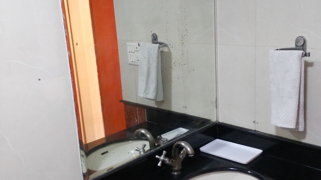 Photo of Bathroom in New Friends Colony