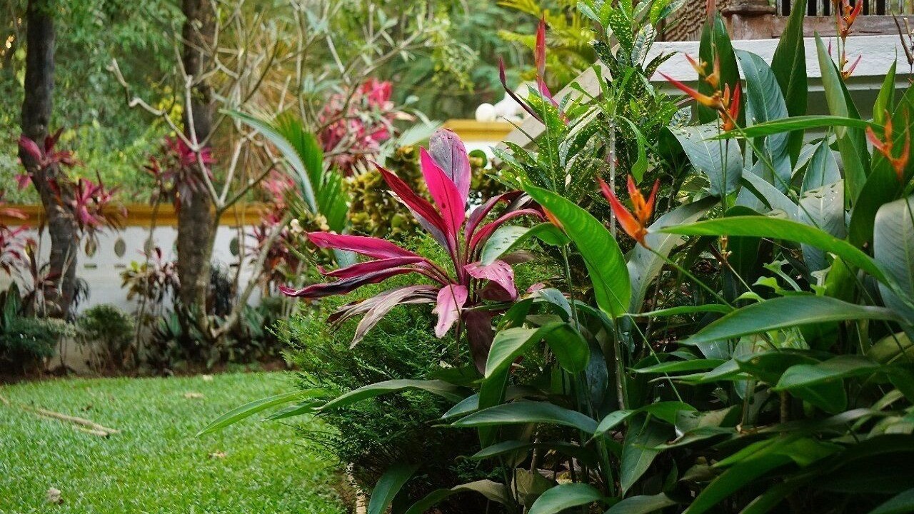 Photo of Outdoor in Assagao