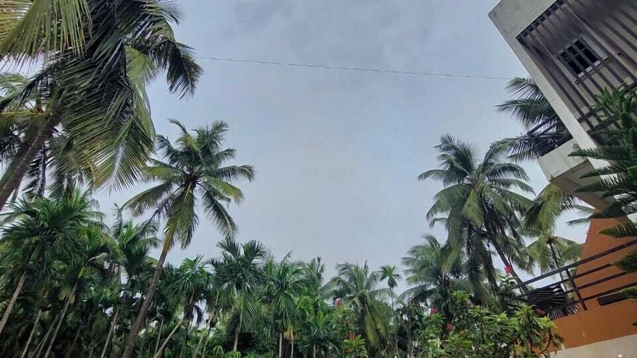 Photo of Outdoor in Nagaon