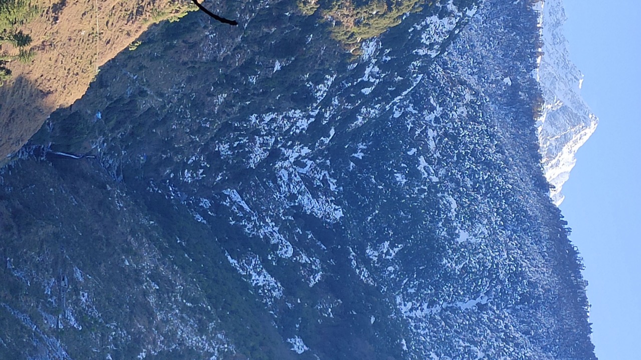 Photo of Others in McLeod Ganj