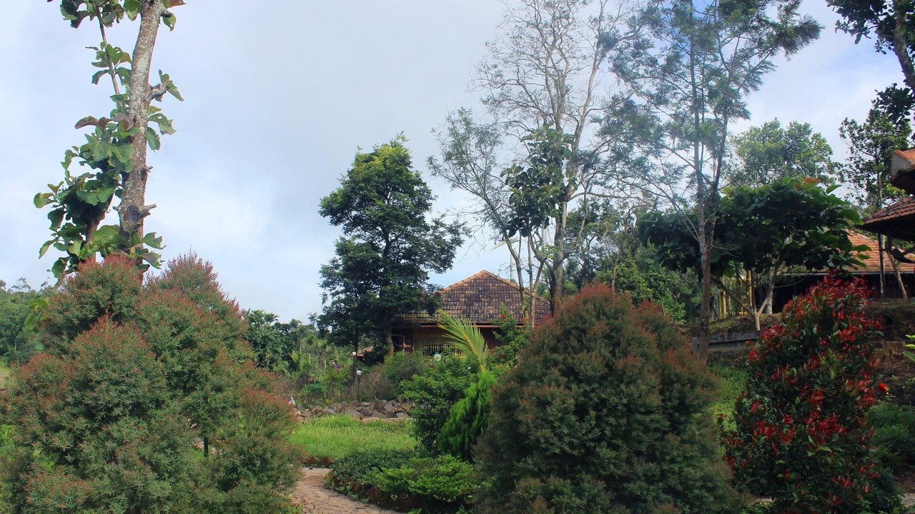 Photo of Outdoor in Kumily