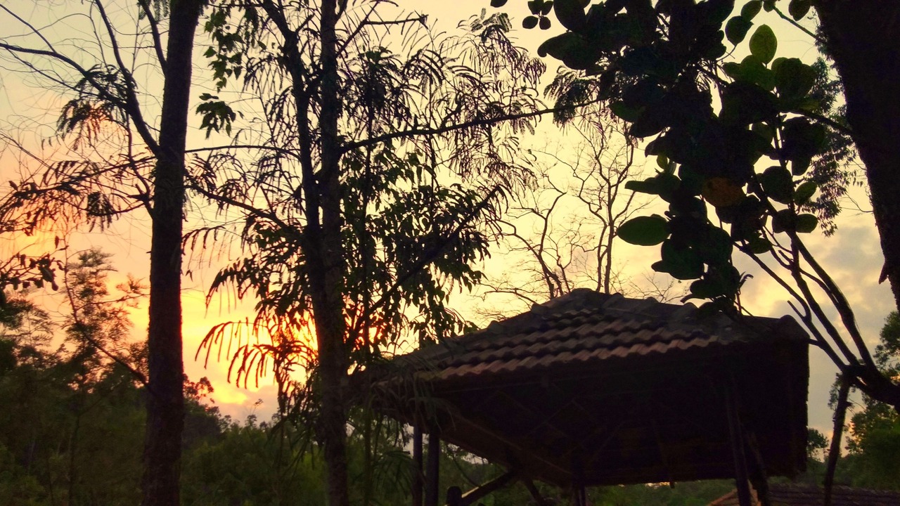 Photo of Outdoor in Kumily
