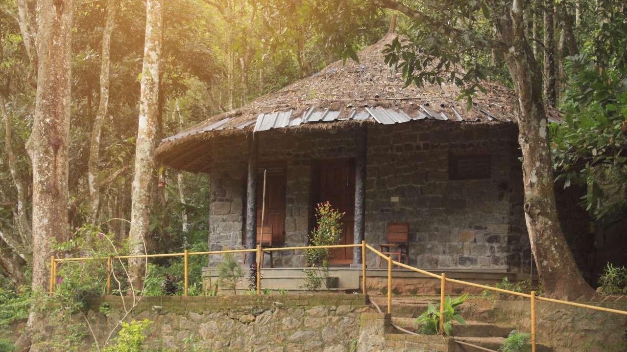 Photo of Outdoor in Kumily
