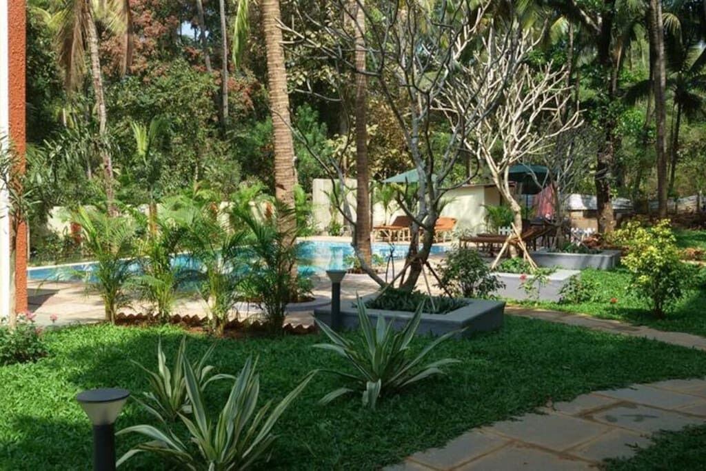Photo of Outdoor in Palolem