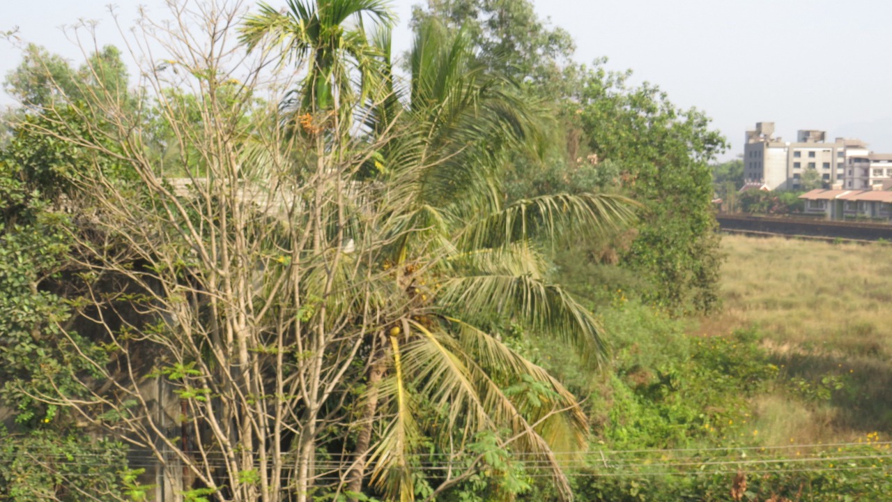 Photo of Patio Balcony in Lonavala