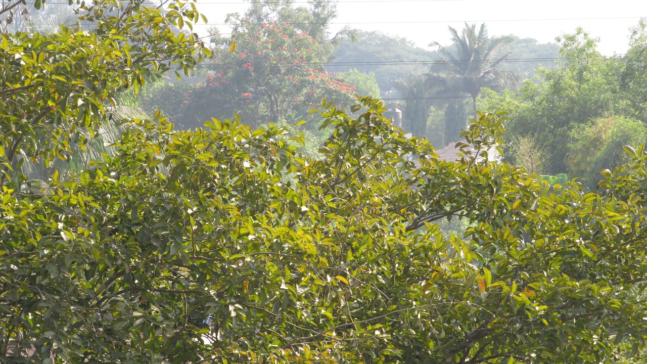 Photo of Patio Balcony in Lonavala