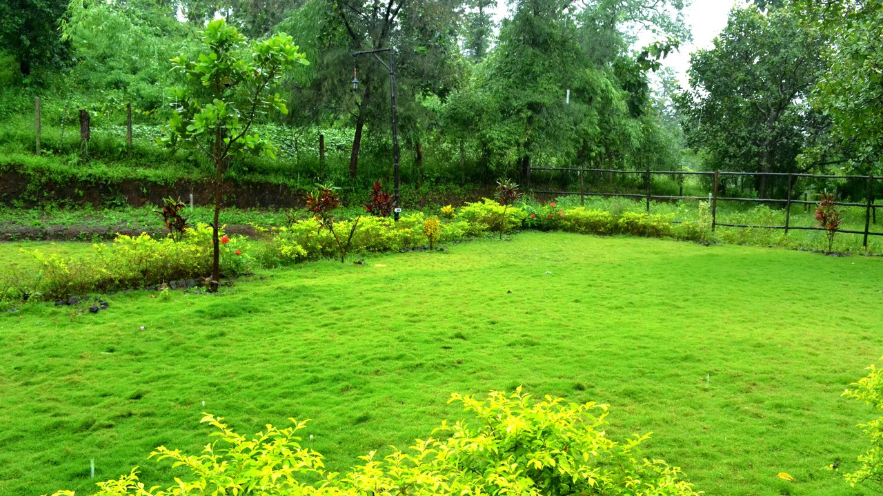 Photo of Outdoor in Khanvel