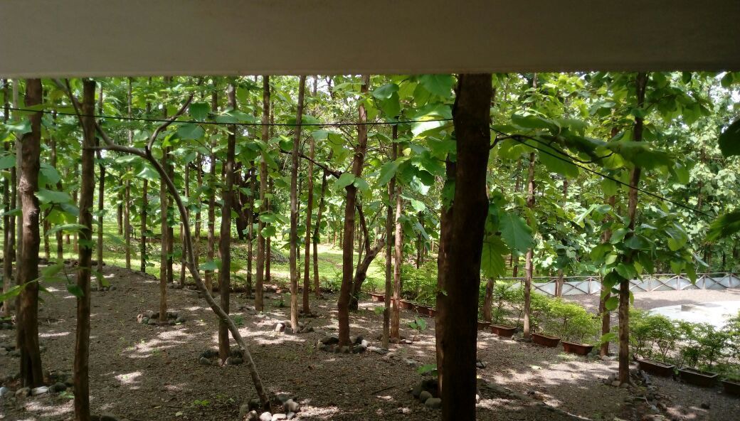 Photo of Outdoor in Khanvel